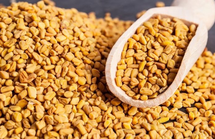 Fenugreek Seeds